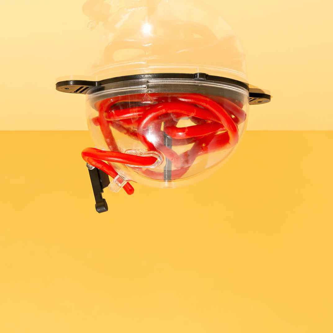 Strawberry Lace Dispenser